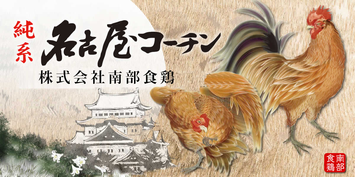 純系名古屋コーチンの南部食鶏