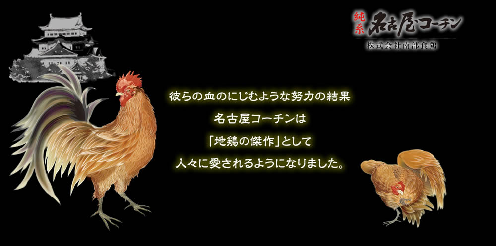 地鶏の傑作名古屋コーチン